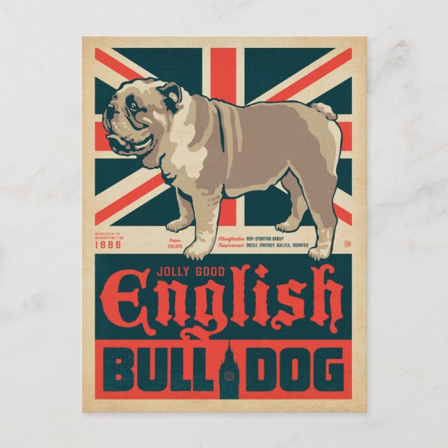 Jolly Good English Bulldog Holiday Postcard (Front)