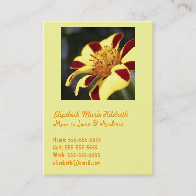 Jolly Jester Marigold - Mom calling cards template (Front)