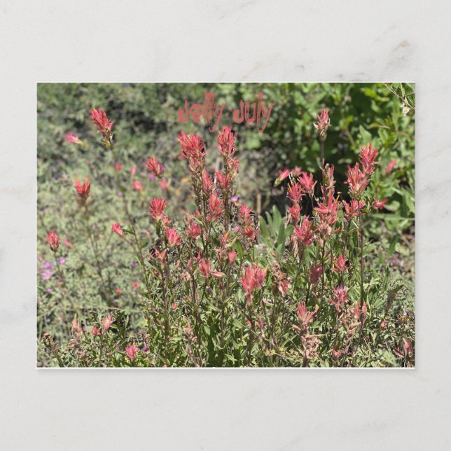 Jolly July Postcard (Front)