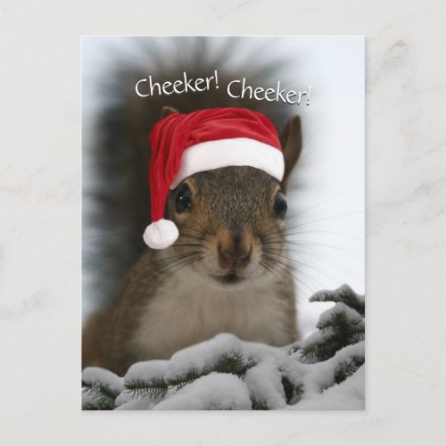 Jolly Squirrel Wearing Santa Hat â Santa Squirrel Holiday Postcard