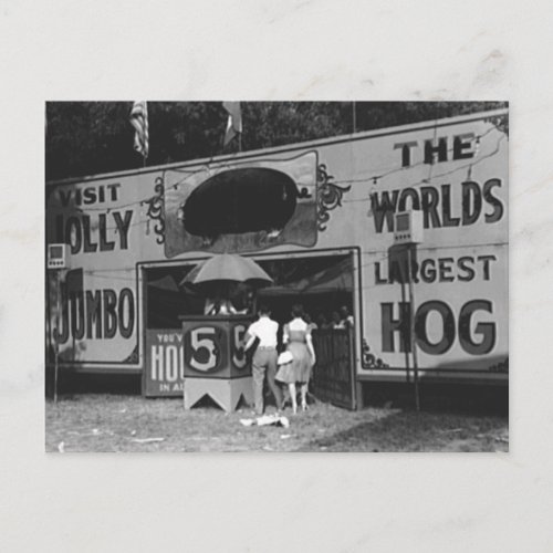 Jolly Worlds Largest Hog Vintage Carnival Photo Holiday Postcard