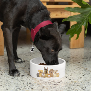 JollyKins Dogs & Cats Bowl