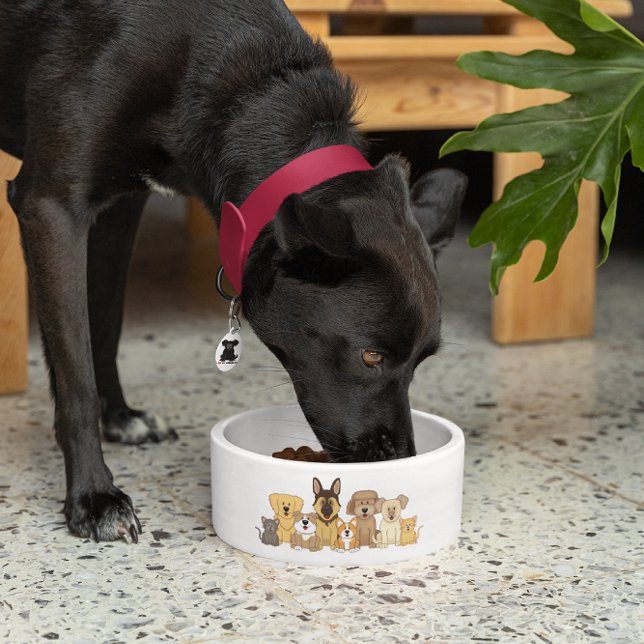 JollyKins Dogs & Cats Bowl (Creator Uploaded)