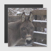 Jonathan Magnet (Front/Back)