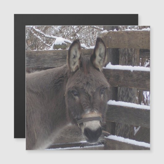 Jonathan Magnet (Front/Back)