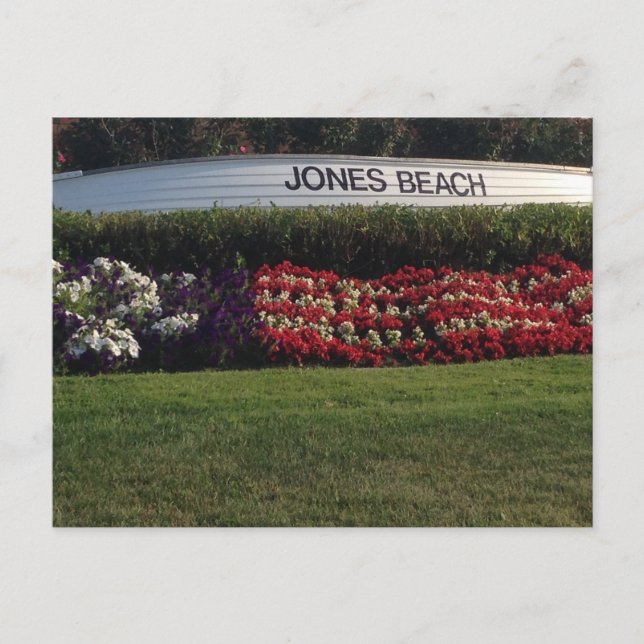Jones Beach, Long Island Postcard (Front)