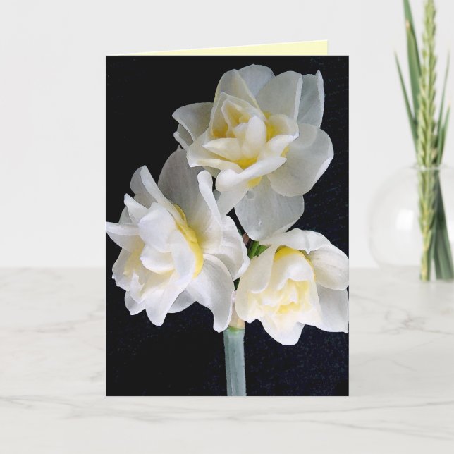Jonquil Flower - Ecclesiastes 3:1 Card (Front)