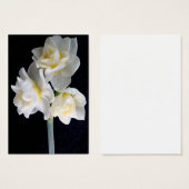 Jonquil Flower - Ecclesiastes 3:1 Tract Card / (Front & Back)
