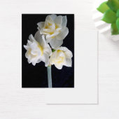 Jonquil Flower - Ecclesiastes 3:1 Tract Card / (Desk)
