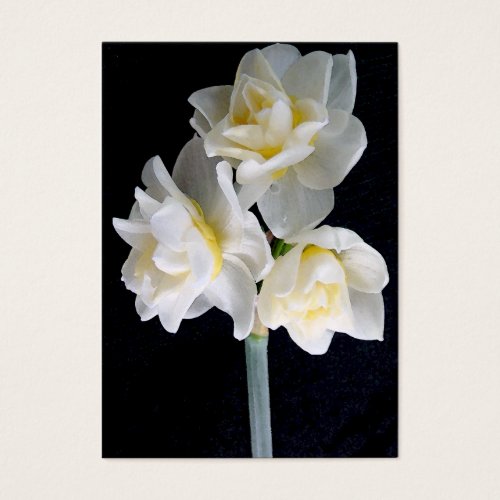 Jonquil Flower - Ecclesiastes 3:1 Tract Card / Business Card