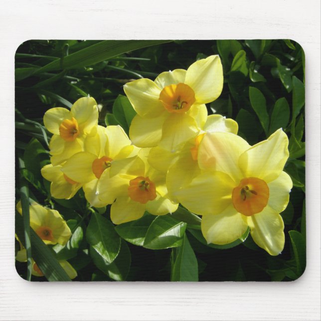 Jonquils/Daffodils/Narcissus Mouse Pad (Front)