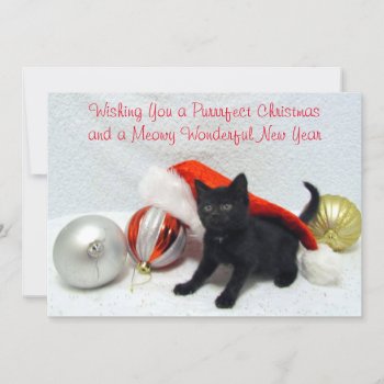 Joon's Christmas- Cat / Kitten - Flat Card