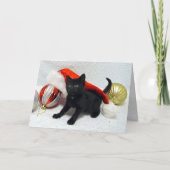 Joon's Christmas-Cat / Kitten - Folded Card