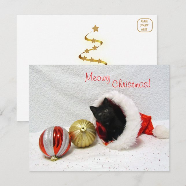Joon's Christmas - Cat / Kitten Postcard (Front/Back)