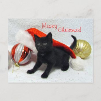 Joon's Christmas Postcard - cat / kitten