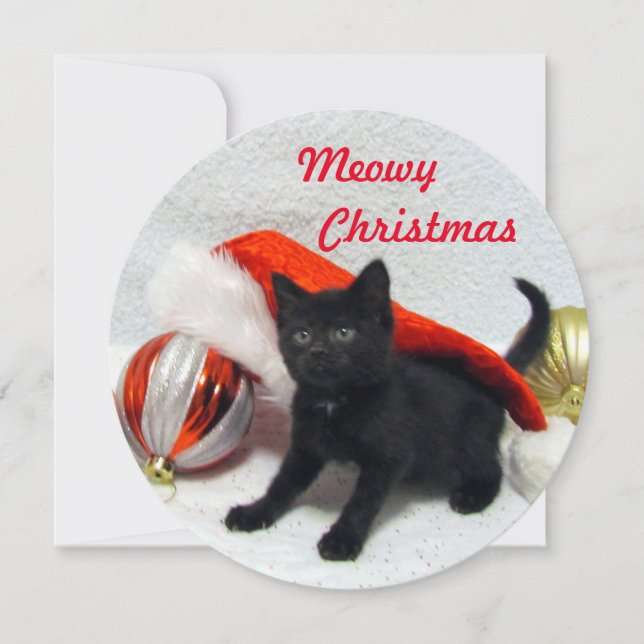 Joon's Round Christmas Card - Cute Cat Pic (Front)