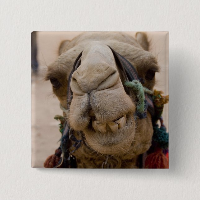 Jordan, Ancient Nabataean city of Petra Button (Front)