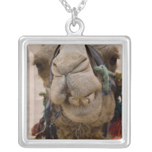 Jordan, Ancient Nabataean city of Petra. Local Silver Plated Necklace