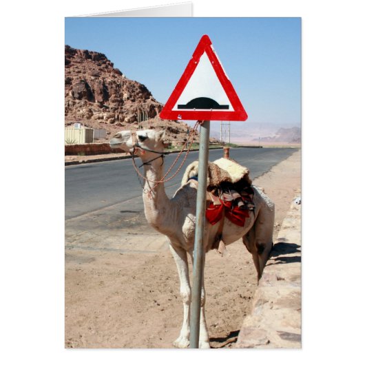 jordan camel stop cards (Front)