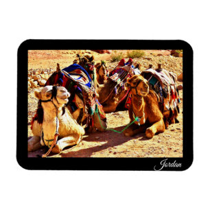Jordan Magnet