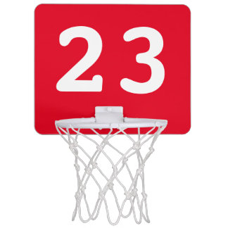 Jordan Mini Basketball Hoop