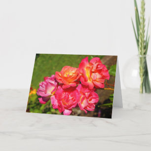 Joseph’s Coat Rose #1 Card