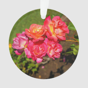 Joseph’s Coat Rose #1 Ornament