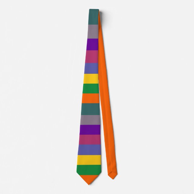 Joseph's Many Coloured Neck Tie (Front)