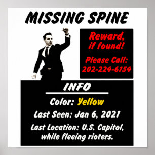 Josh Hawley Missing Spine Poster