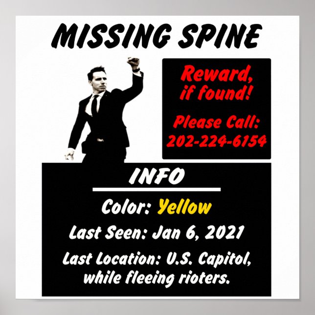 Josh Hawley Missing Spine Poster (Front)