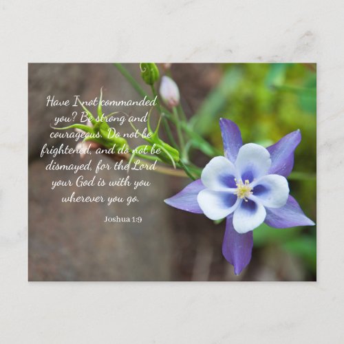 Joshua 19 Purple Columbine Flower Postcard