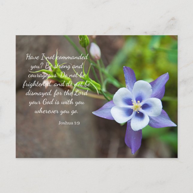 Joshua 1:9 Purple Columbine Flower Postcard (Front)