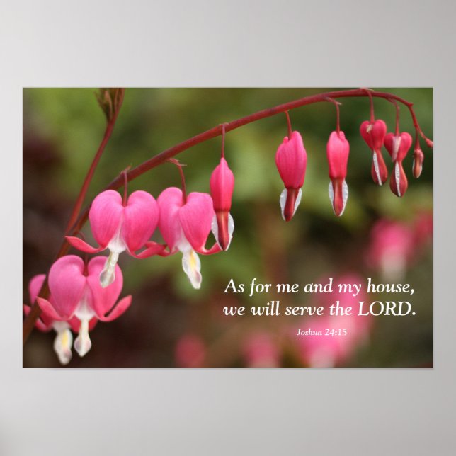 Joshua 24:15 Bleeding Heart Flowers Poster (Front)