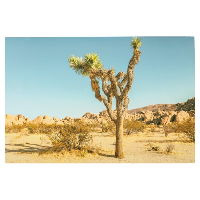 Joshua National Park Metal Print (Front)