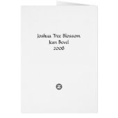 Joshua Tree Blossom Cards (Back)