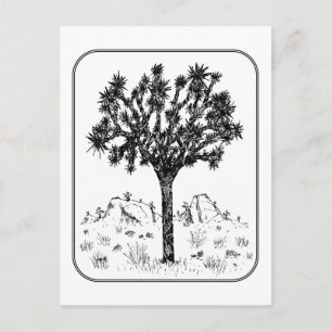 Joshua Tree (Border) Postcard