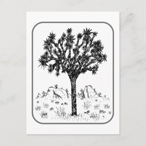 Joshua Tree Border Postcard