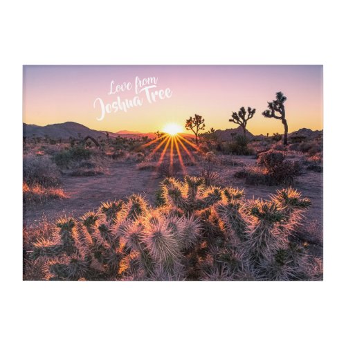 Joshua Tree Cactus Sunset Acrylic Print