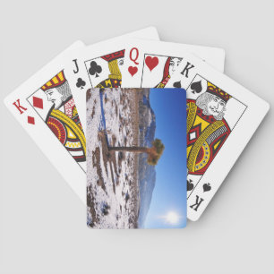 Joshua Tree, California Poker Cards