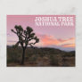 Joshua Tree California Sunset Postcard