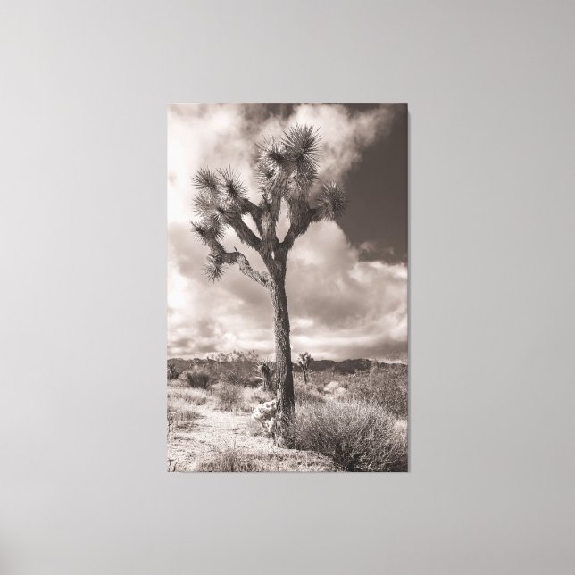 Joshua Tree Canvas Print (Front)