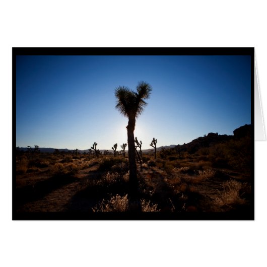 Joshua Tree Cards (Front Horizontal)