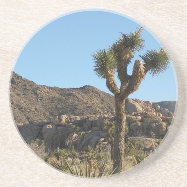 Joshua Tree Drink Coaster (Front)