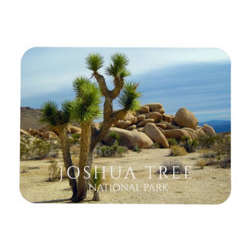 Joshua Tree Giant Boulders Desert Magnet