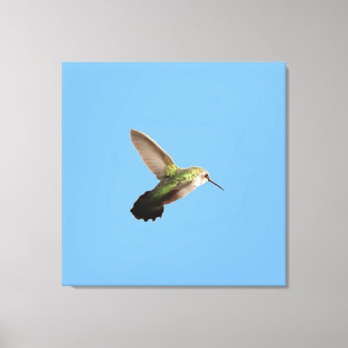 Joshua Tree Humming Bird  by Lin Masters  Canvas Print