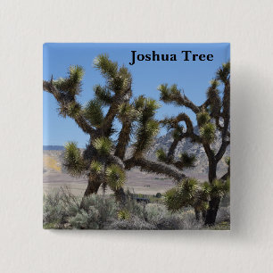 Joshua Tree in California Button