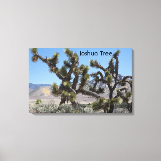 Joshua Tree in California Canvas Print (Front)