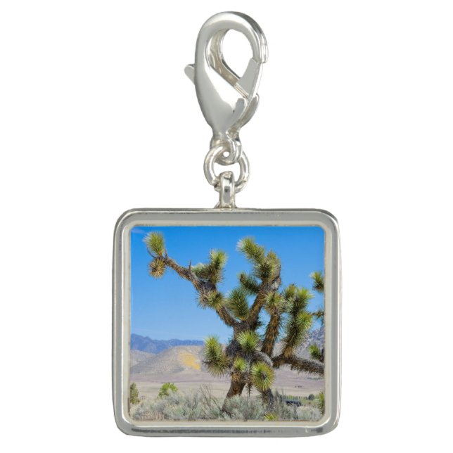 Joshua Tree in California          Charm (Front)