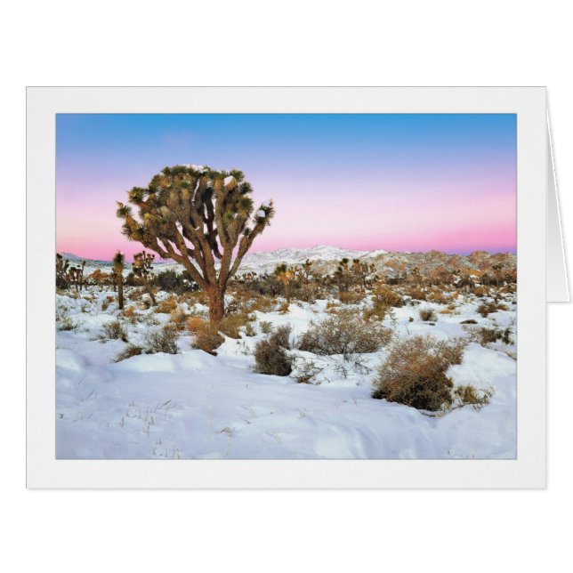 "Joshua Tree In Snow" Cards (Front Horizontal)