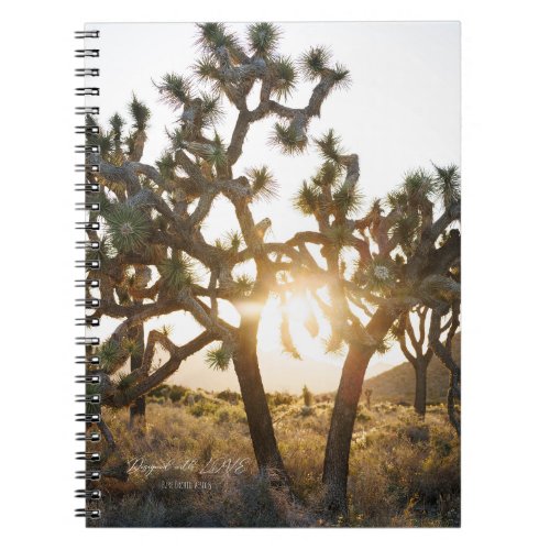 Joshua Tree Limited Edition Notebook